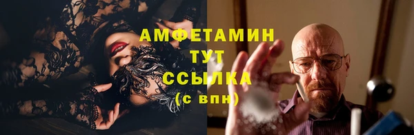 эйфоретик Вяземский